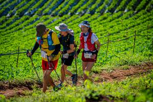 BIB: 2173
                            <button type="button" onclick="openModal(19162067)" class="btn btn-primary btn-sm float-right btn-popup" data-toggle="modal" data-target=".modal-high-quality">
                        <i class="fas fa-shopping-cart"></i> Add to Cart
                    </button>
                                            <button type="button" onclick="isThisMe(19162067, true)" class="btn btn-success btn-sm float-right btn-popup btn-isme hidden" data-toggle="tooltip" data-placement="bottom" title="นี่คือรูปของคุณใช่ไหม คลิกที่นี่เพื่อเอาเข้าอัลบั้ม">
                        <i class="fas fa-plus"></i> Add to album
                    </button>
                    <button type="button" onclick="isThisMe(19162067, false)" class="btn btn-warning btn-sm float-right btn-popup btn-isnotme hidden">
                        <i class="fas fa-ban"></i> Remove from album
                    </button>